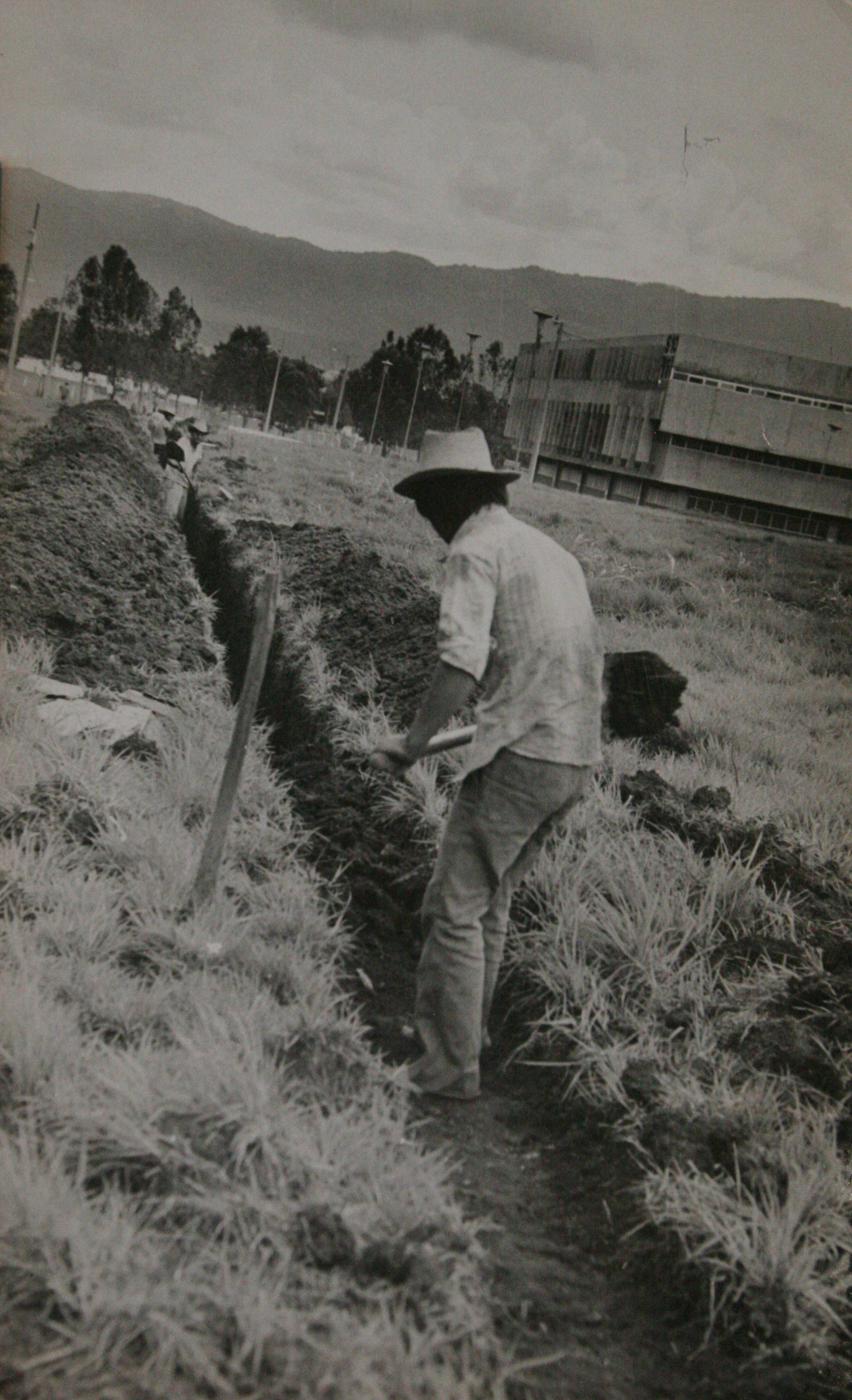 Trabajadores realizando sanjas, al fondo el edificio de rectoría. Foto archivo USAC. 