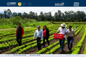 Visita al CEDA fortalece la formación en producción orgánica de lechuga
