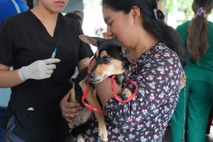 USAC realiza su cuarta jornada de vacunación para perros y gatos
